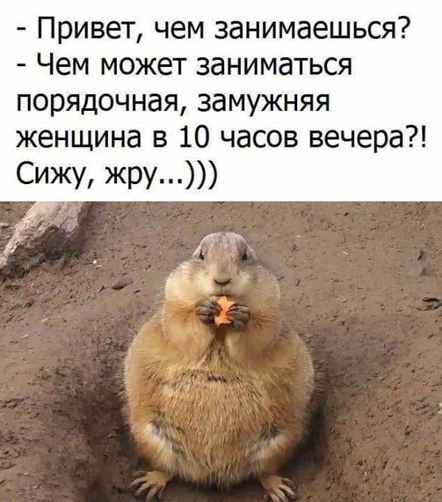 Приехал в деревню новый священник.Захотел познакомиться с прихожанами...