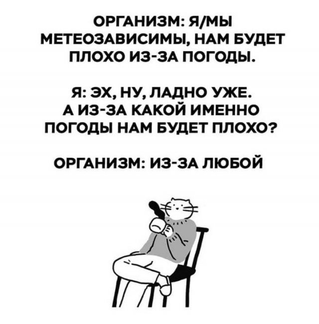 Шутки и мемы из Сети Шутки и мемы из Сети позитив,смешные картинки,юмор