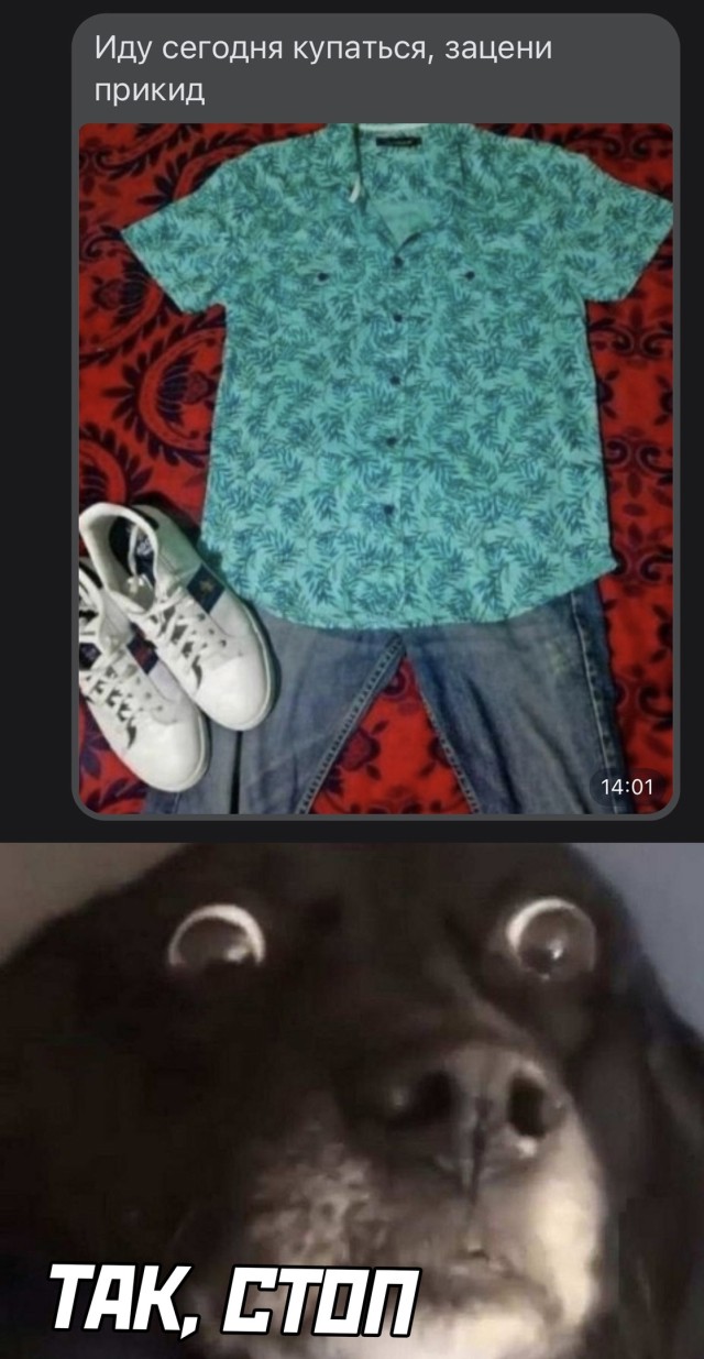 Подборка прикольных картинок Подборка прикольных картинок приколы,смешные картинки,юмор