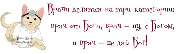 Позитивные картинки с прикольными фразками Позитивные картинки с прикольными фразками