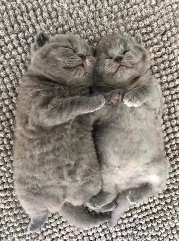 Подборка прикольных картинок Подборка прикольных картинок приколы,смешные картинки,юмор