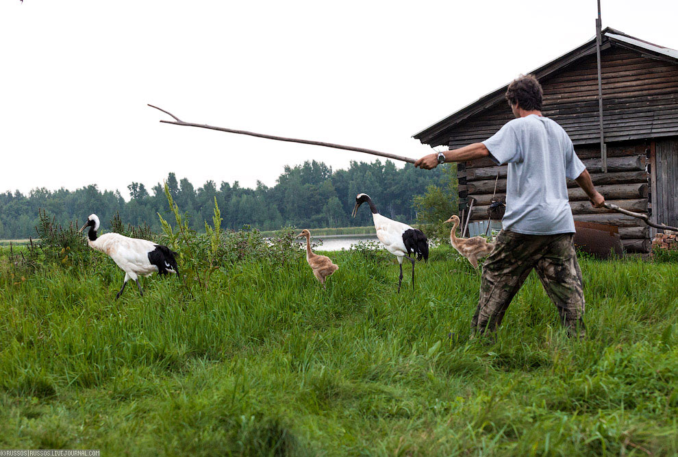 Хинганский заповедник на Дальнем Востоке Хинганский заповедник на Дальнем Востоке Путешествия,фото