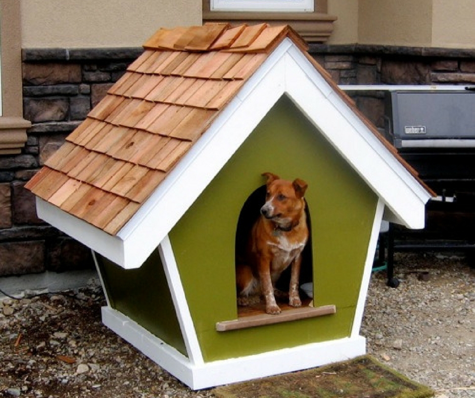 35 оригинальных идей для собачьей будки идеи для дома,интерьер и дизайн