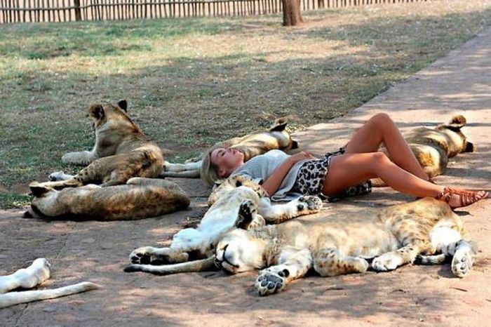 Прикольные и зачетные фото с картинками из нашей жизни