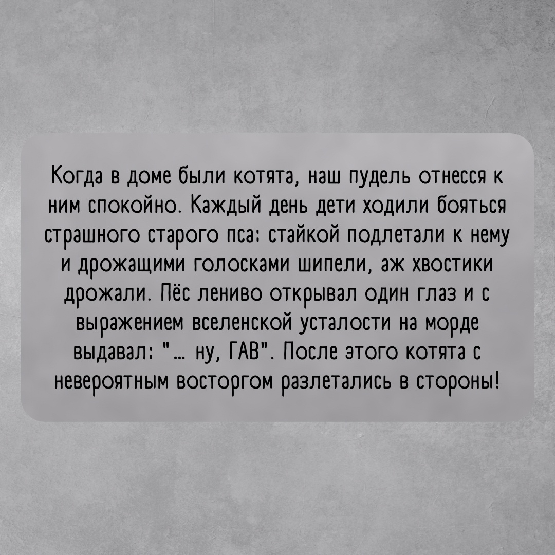 Юмор из интернета 740 позитив,смех,улыбки,юмор