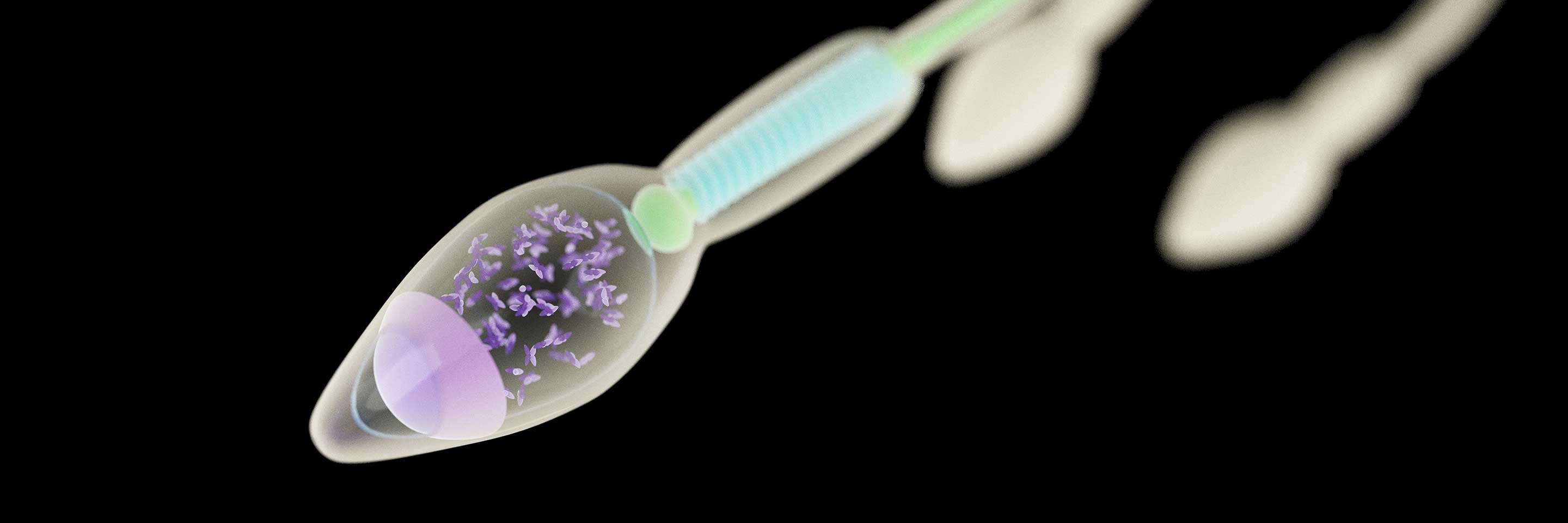 5 фактов о сперме, которые вас удивят    