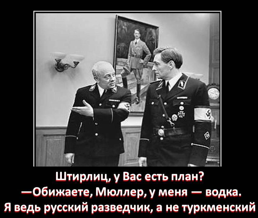 Мой персидский ковёр на 100% состоит из шерсти, и больше 80% из неё — это шерсть моего персидского кота анекдоты