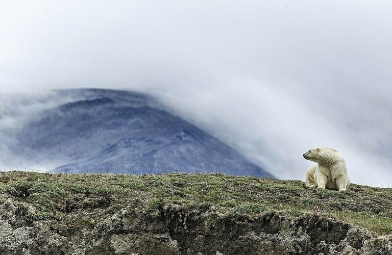 От Африки до арктической тундры России: финалисты фотоконкурса National Geographic Traveller 2019 От Африки до арктической тундры России: финалисты фотоконкурса National Geographic Traveller 2019
