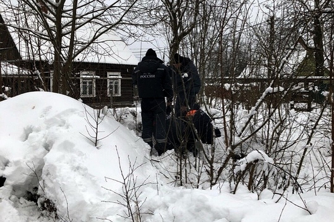Сотрудники смогли пробить в подвал отверстие, через которое и спасли щенков. Фото: Елена Зиновьева.