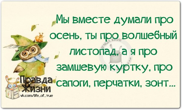 Юмор о грибах в картинках Юмор о грибах в картинках
