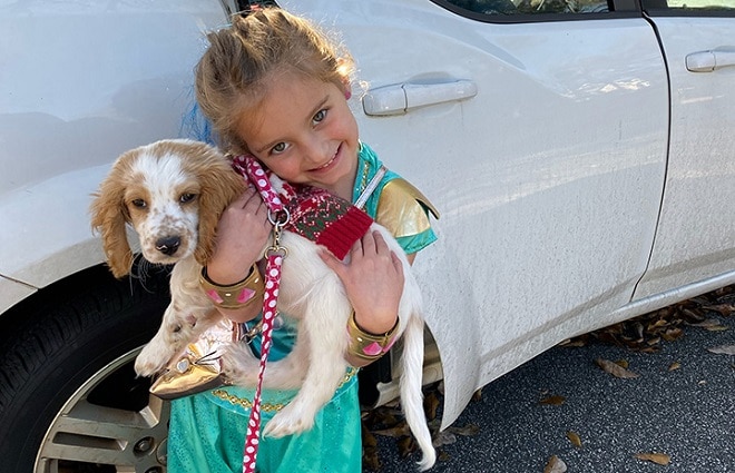 Щенок на руках