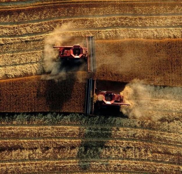 Прикольные картинки картинки из сети, прикол, юмор