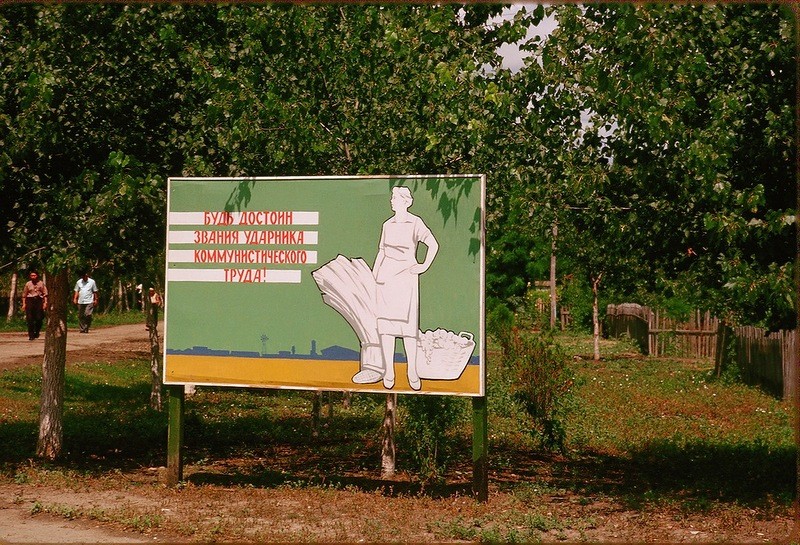 Совхозный плакат: Кубань, ретро фото, фотографии