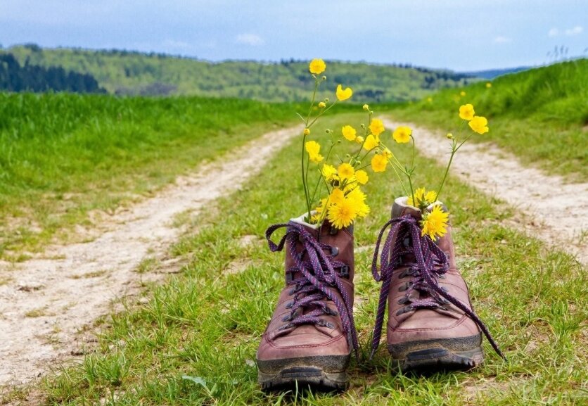 Картинка из Яндекса