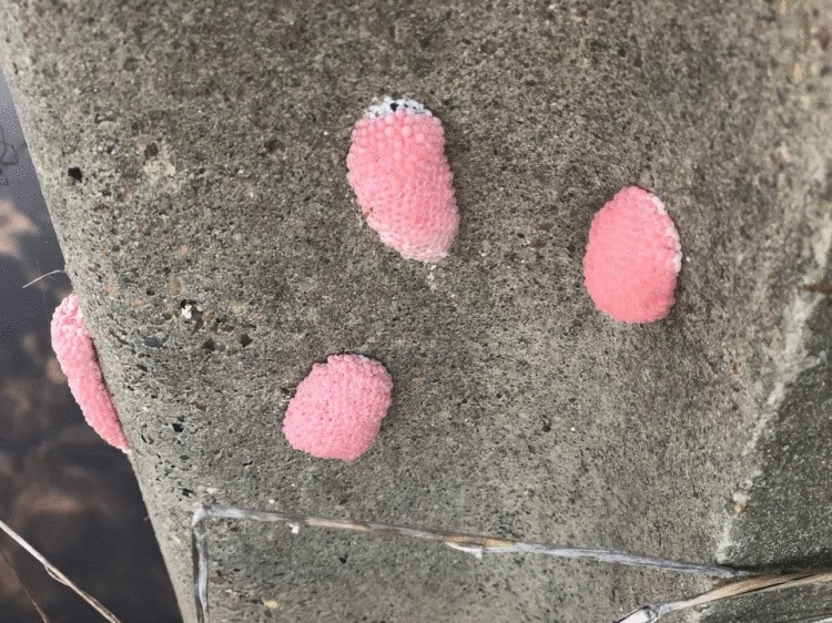 20 коварных фотографий, которые вызывают зверский аппетит. Вот только еды среди них нет 20 коварных фотографий, которые вызывают зверский аппетит. Вот только еды среди них нет