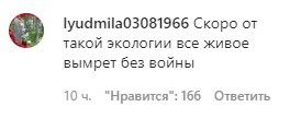 Скриншот комментария к видеоролику о мертвых птицах и дельфинах в Анапе. https://www.instagram.com/p/CLPQ6SxCuPz/