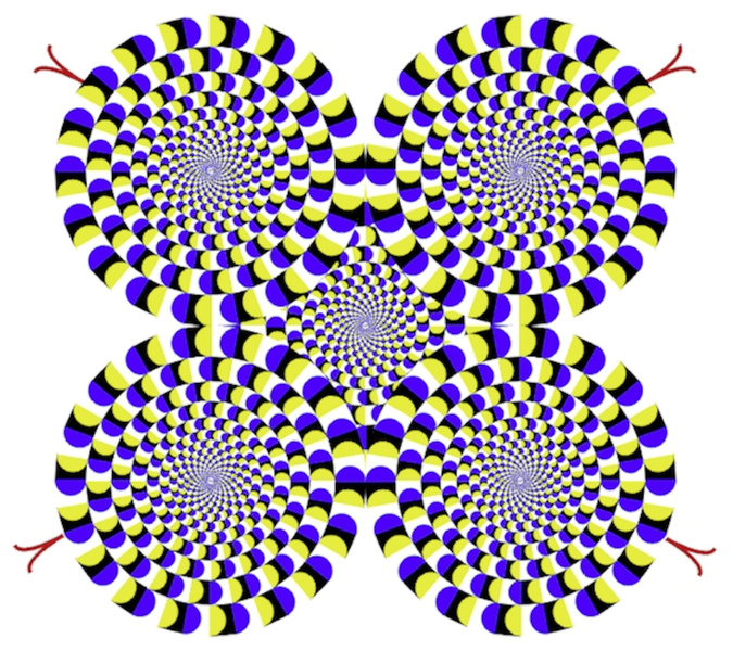 Во власти иллюзий: 5 способов, которыми мозг обманывает зрение