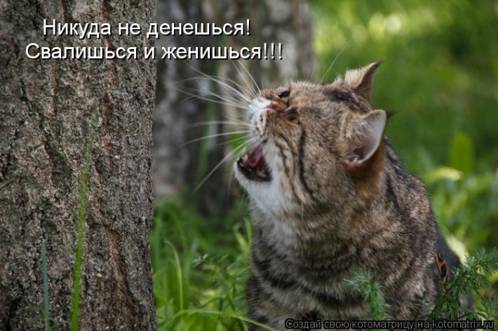 Мысли вслух :) №8314