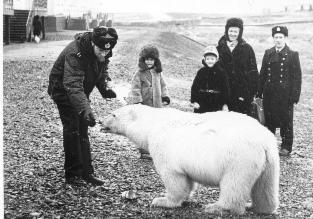 Фото белый медведь с человеком