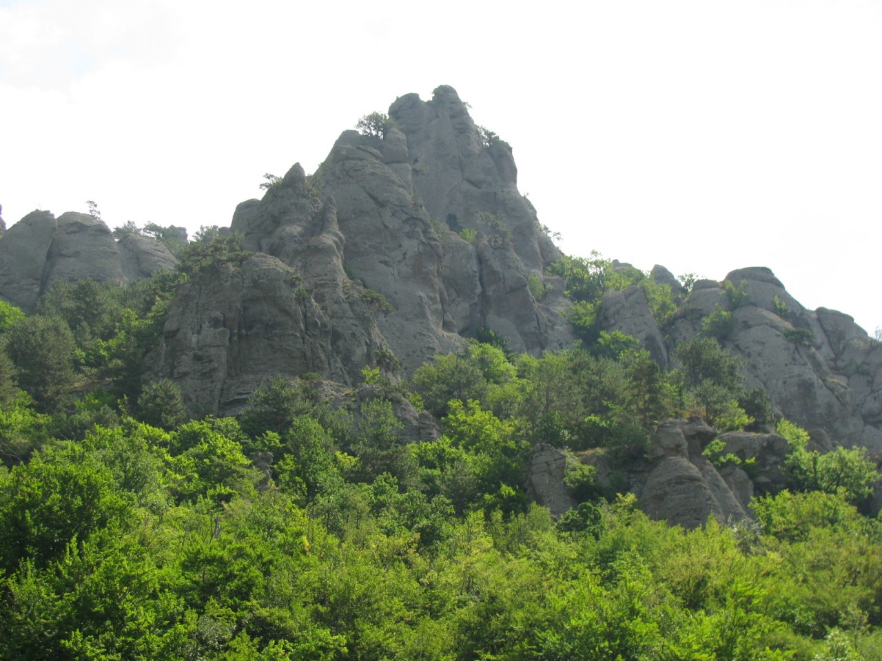 екатерина гора в крыму