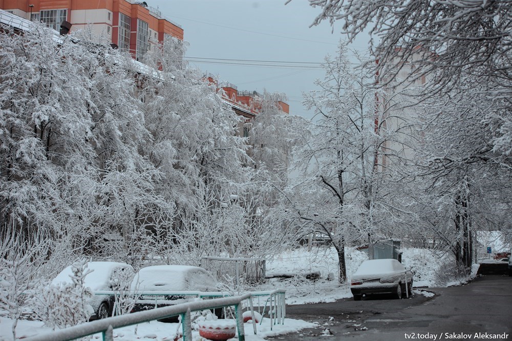 Погода на 14 дней томская область. Снегопад в Томске. Снег в Томске. Сугробы в Томске. Снежный Томск.