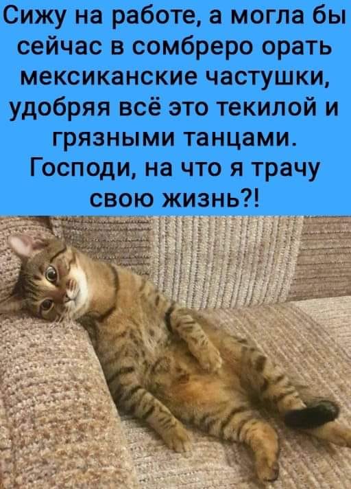 Упал наркоман с девятого этажа, встал и отряхивается... говорит, только, чтобы, Гулять, сейчас, экономика, девятого, этажа, никогда, деньги, одной, подбегают, спрашивают, отвечает, подходит, знает, отряхивается, пенсионеров, права, собака