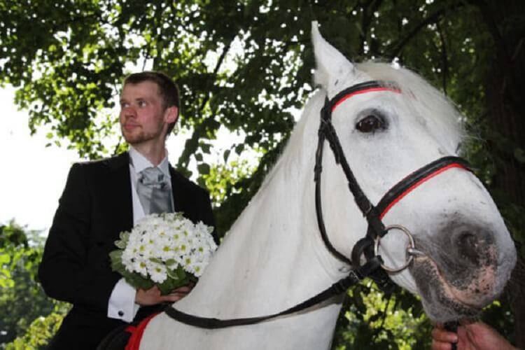 Конь жених. Принц на белом коне. Мужчина на коне с цветами. Принц на коне фото. Современный принц на белом коне.
