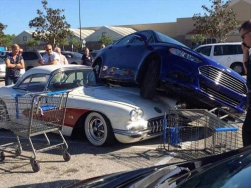 Неудачный день в картинках (18 фото)