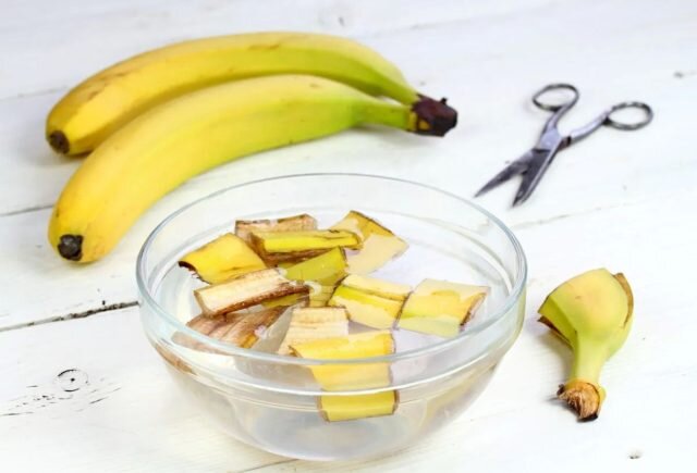 Полив банановой водой не вреден для растений, но он вообще не приносит никакой пользы. © bobvila  
