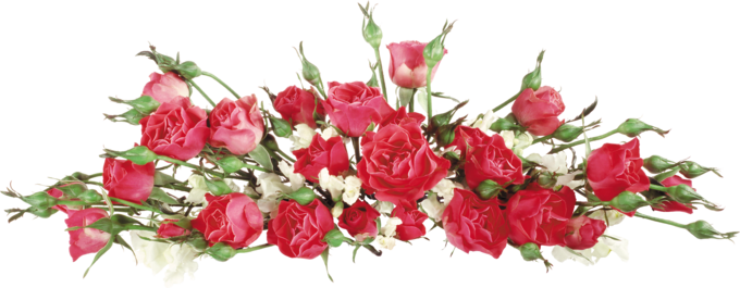 Картинки по запросу открытка поздравляю