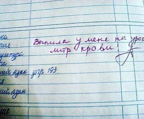 Смешные замечания из школьных дневников 