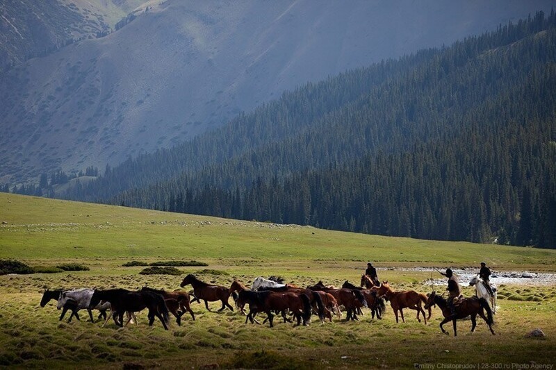 Кыргызстандын кооз жерлери фото