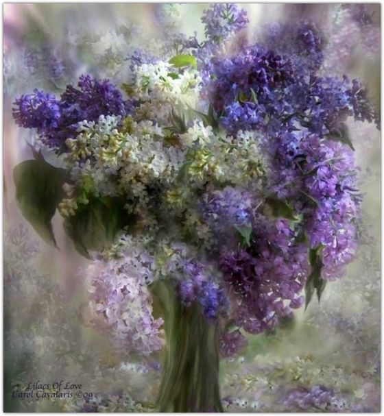 �������� �������� ����� ���������