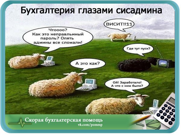 Смешные картинки про админ, 240