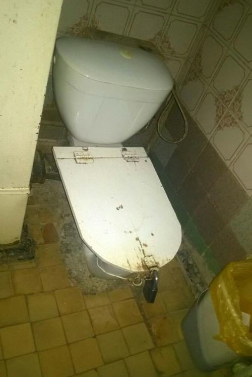 Прикольные картинки картинки из сети, прикол, юмор