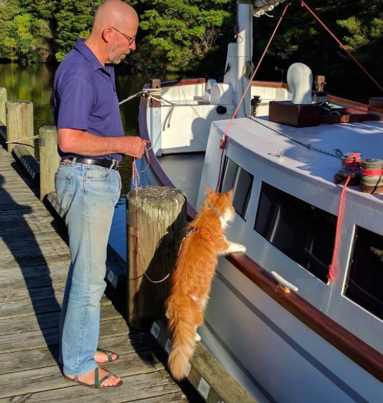 Кот мейн-кун путешествует на лодке со своим глухим хозяином