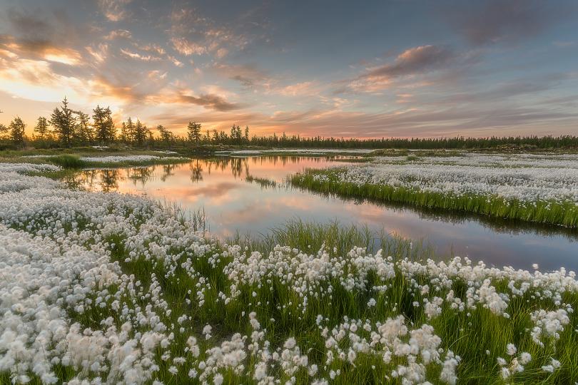 Потрясающие фотографии России Россия