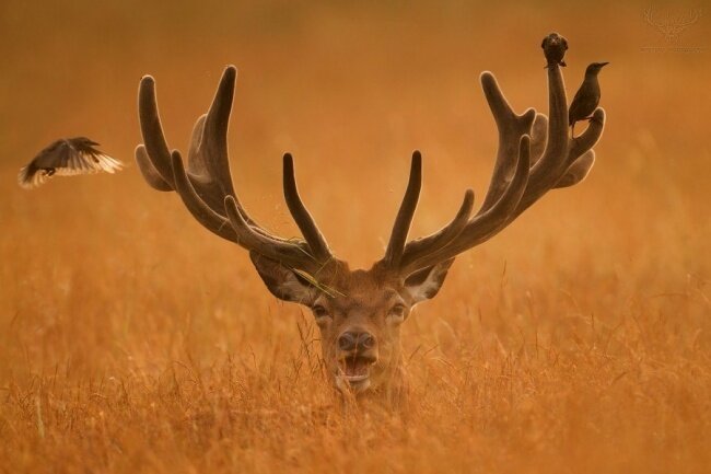 Клянутся, что без фотошопа Клянутся, что без фотошопа фотография