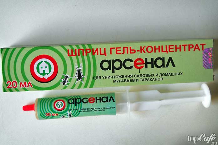 Как избавиться от тараканов: Арсенал