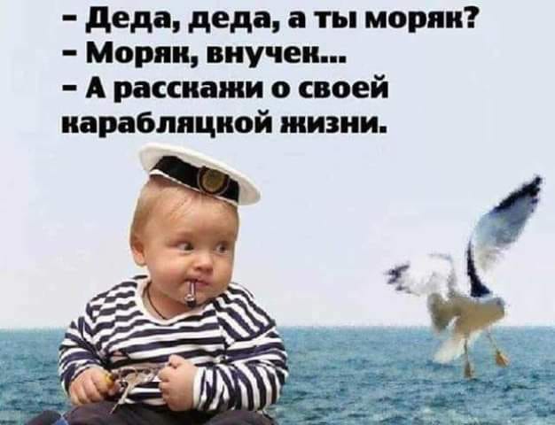 Вопрос: 