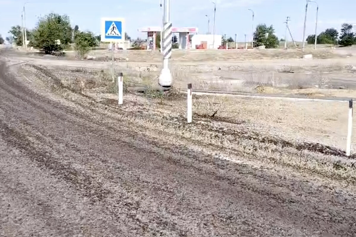 В Волгоградской области тучи саранчи засняли на видео