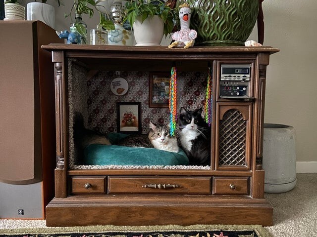 "Нашел на свалке старый телевизор - и сделал из него дом для кошек"