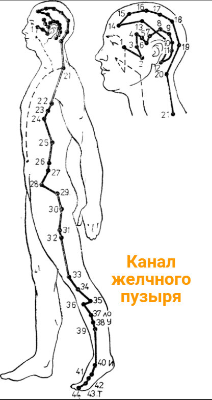 Система оздоровления от китайского доктора Фучжуна. Простой массаж живота и другие техники точки, только, можно, активные, Фучжун, канал, нужно, открытых, которые, легких, делать, массаж, почек, также, доктор, организм, меридиана, органы, очень, орган