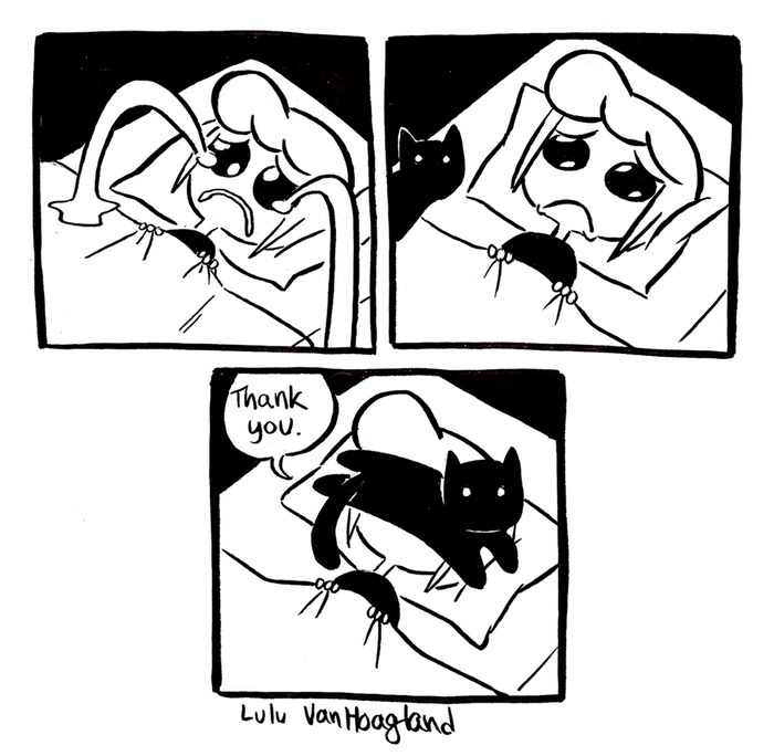 Cat Comics