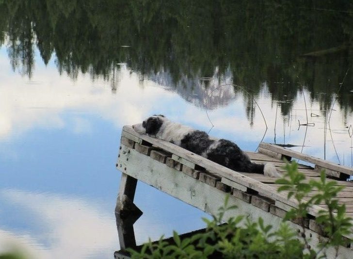 15 эмоциональных снимков, которые находят мощный отклик в душе 15 эмоциональных снимков, которые находят мощный отклик в душе жизнь,мир