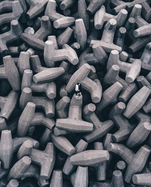 Подборка картинок. Вечерний выпуск (59 фото)