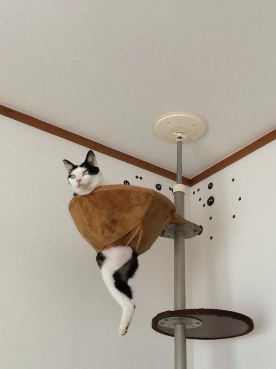 Миссия провалена или что-то пошло не так