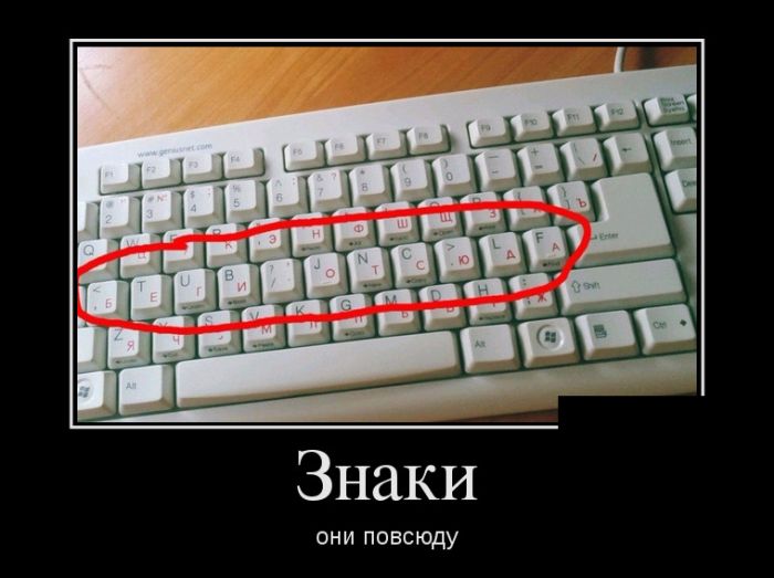 Демотиваторы выходного  дня 