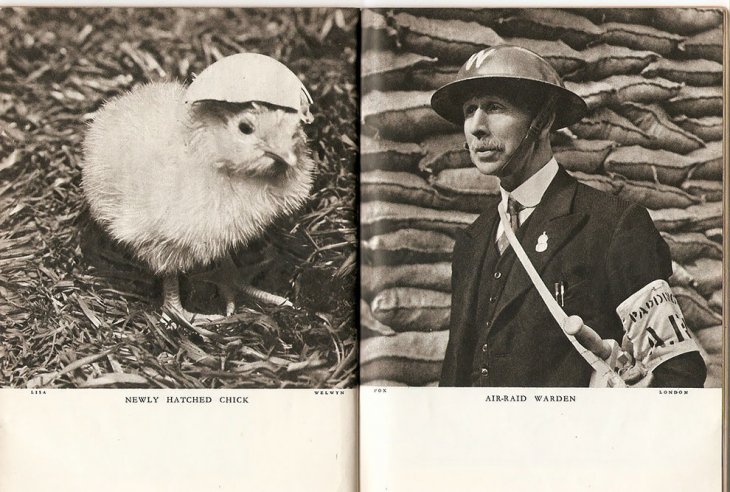 Истории без слов - фотографии из журнала "Лилипут" 1937 года 