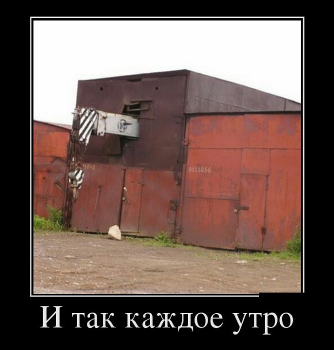 Кошки мышки, приколы в гараже картинки